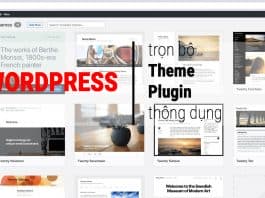 Theme plugin thiet ke website wordpress