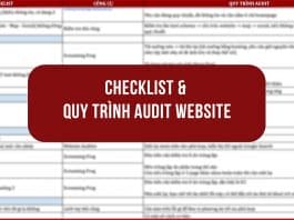 audit website